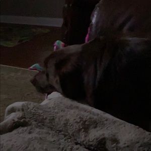 Meet your Posher, Tony